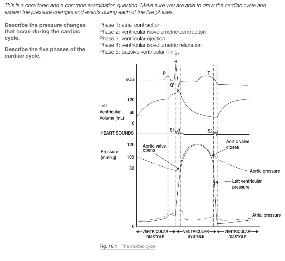Wiggers-diagram: hjärtcykeln med ECG, tryck, volym och hjärtljud