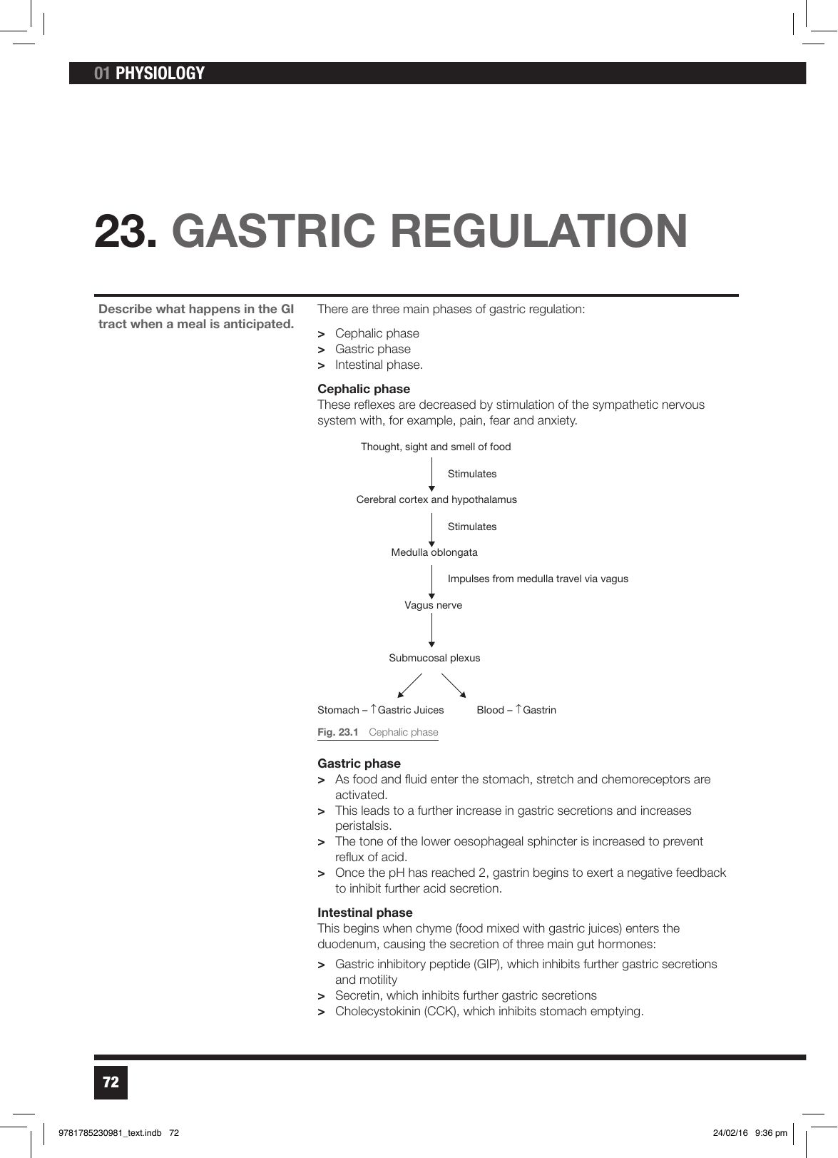 Gastrisk reglering — de tre faserna