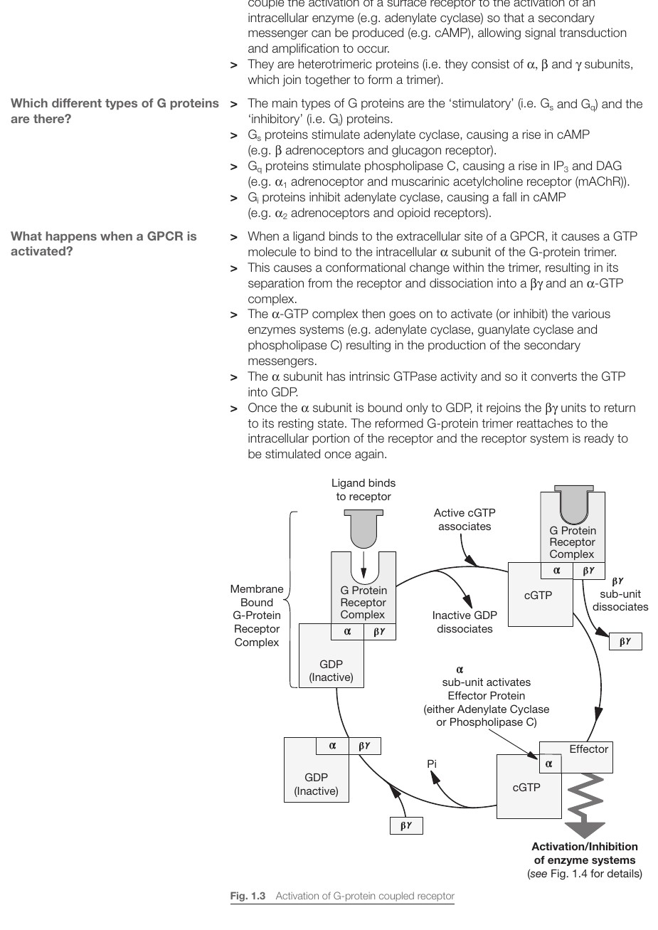 G-proteinkopplade receptorer