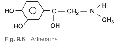 Strukturformel för adrenalin (SG2 Fig 9.6)
