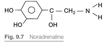 Strukturformel för noradrenalin (SG2 Fig 9.7)