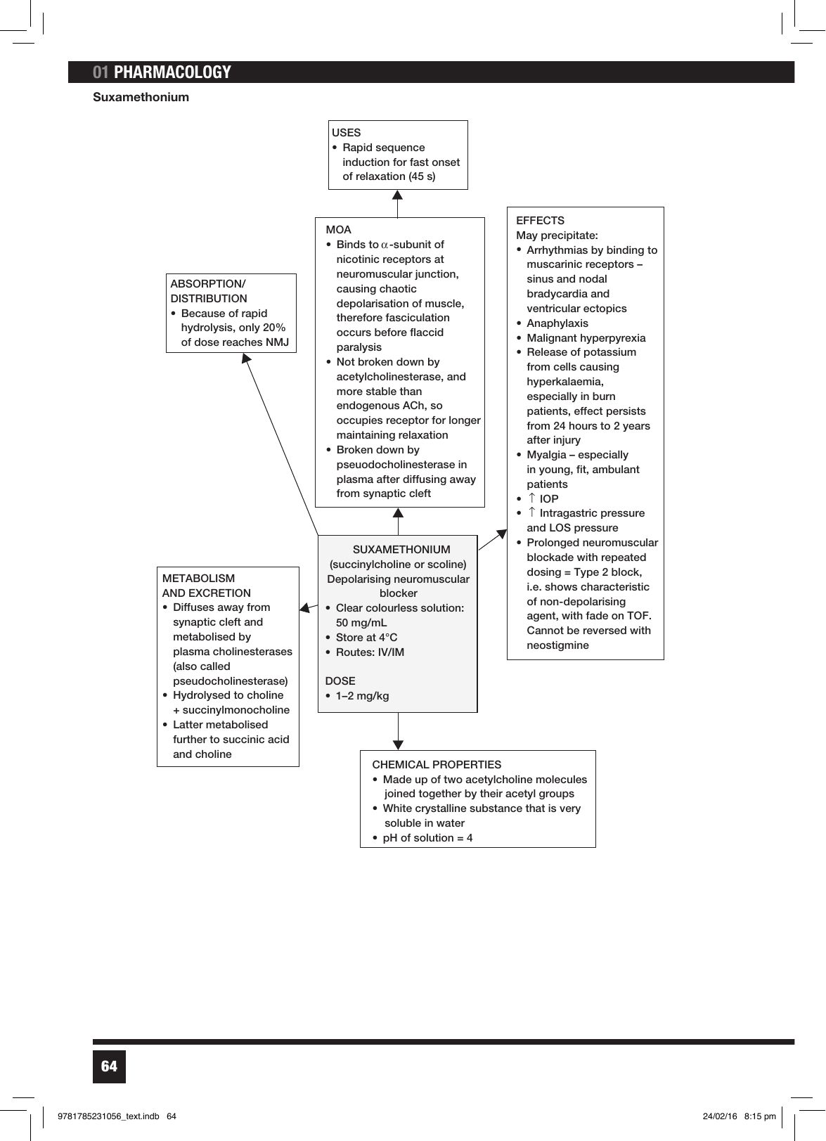 Suxametonium — spider-diagram