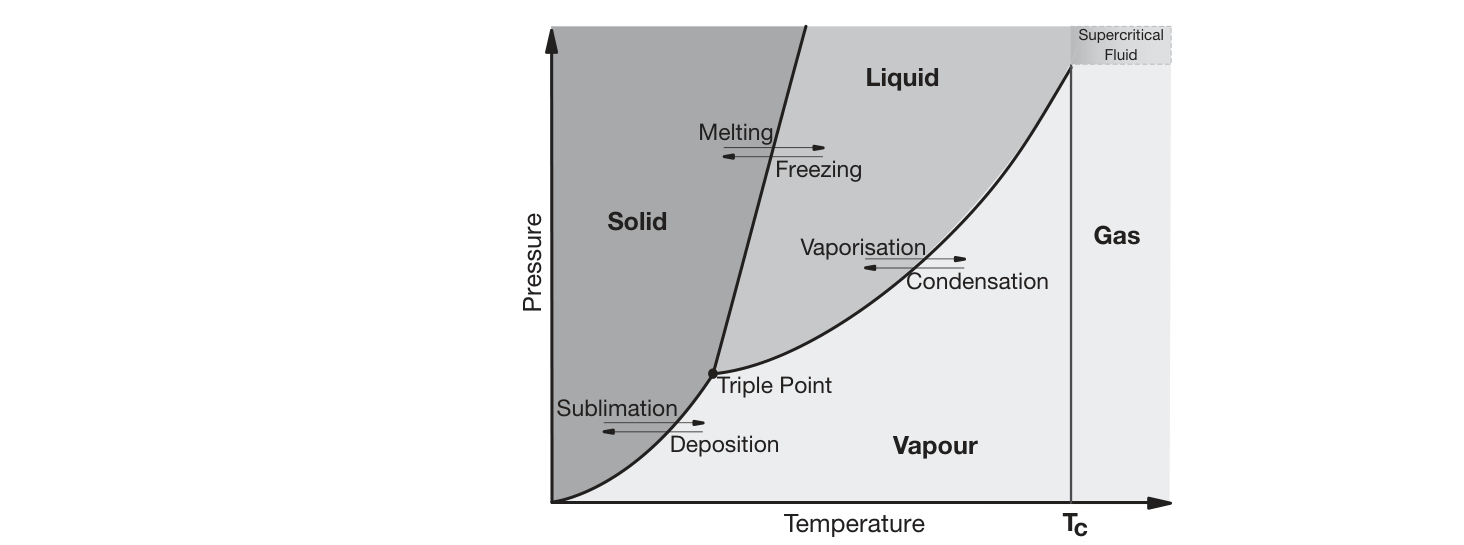 Fasdiagram (FRCA Fig 62.3).